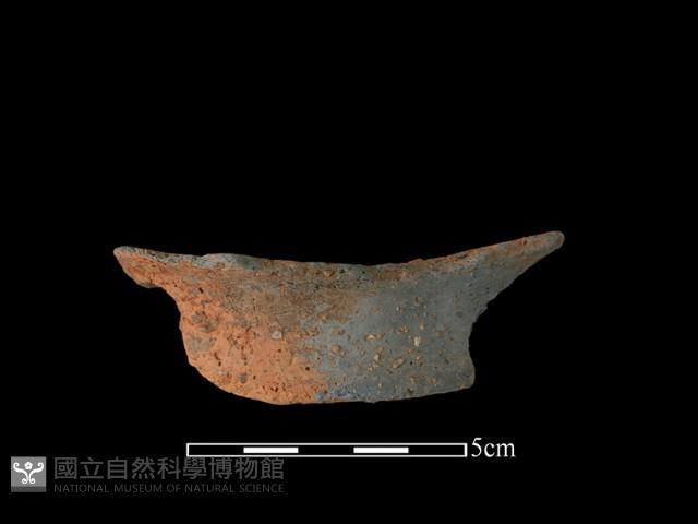 陶片藏品圖，第1張