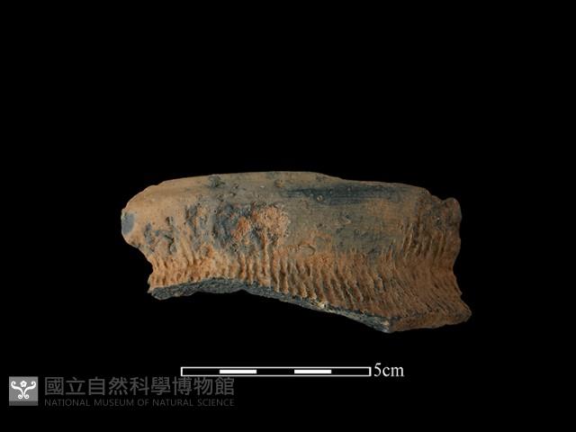 陶罐藏品圖，第2張