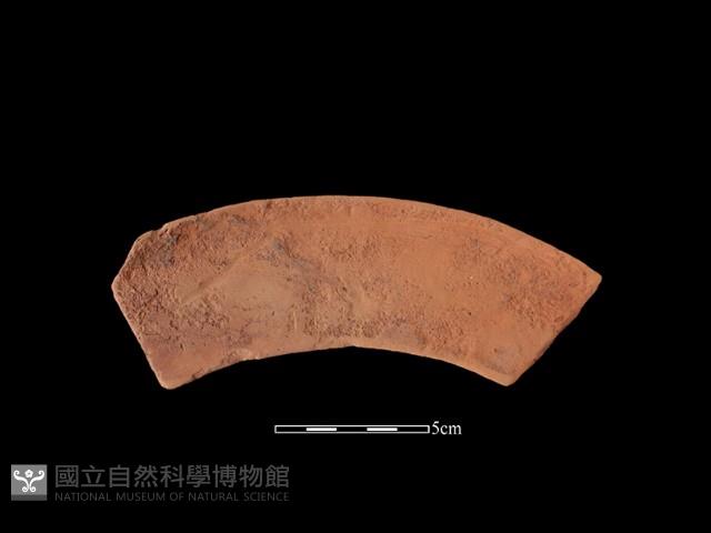 連杯形器藏品圖，第1張