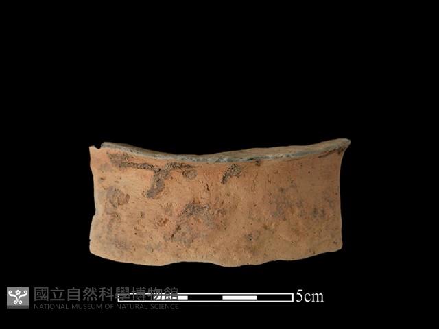 陶片藏品圖，第1張