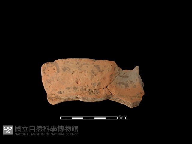 陶罐藏品圖，第1張