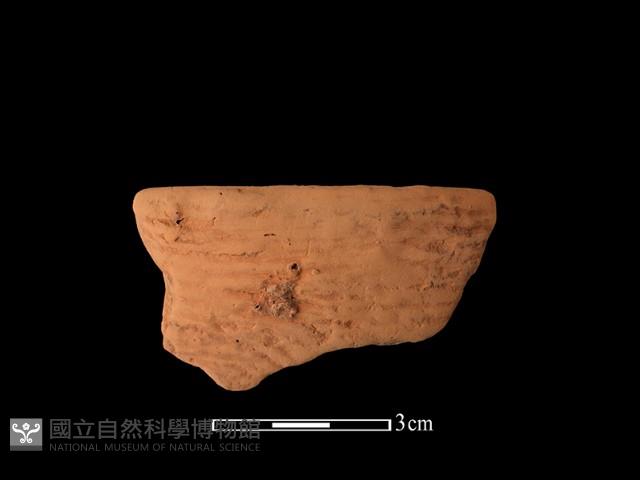 陶缽藏品圖，第2張