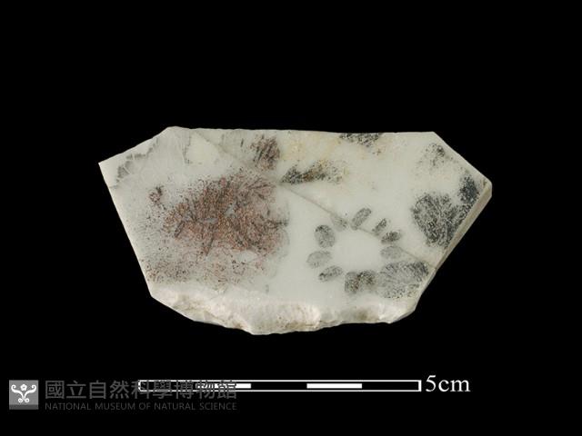 瓷盤藏品圖，第1張