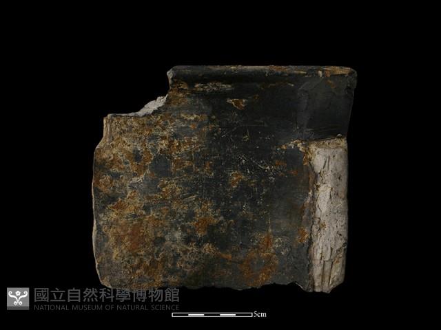 瓦片藏品圖，第1張