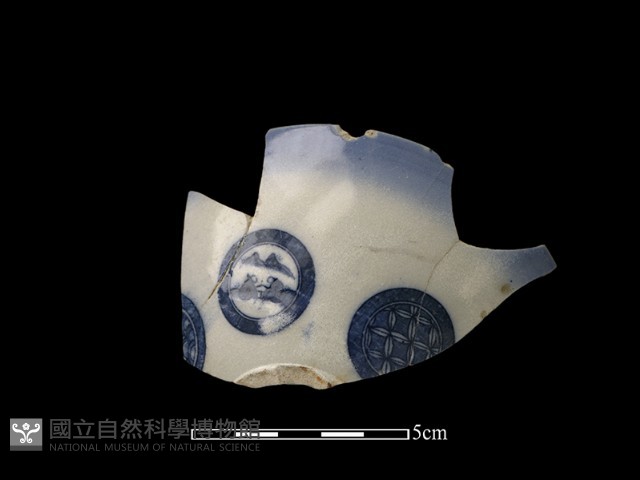 瓷片藏品圖，第1張
