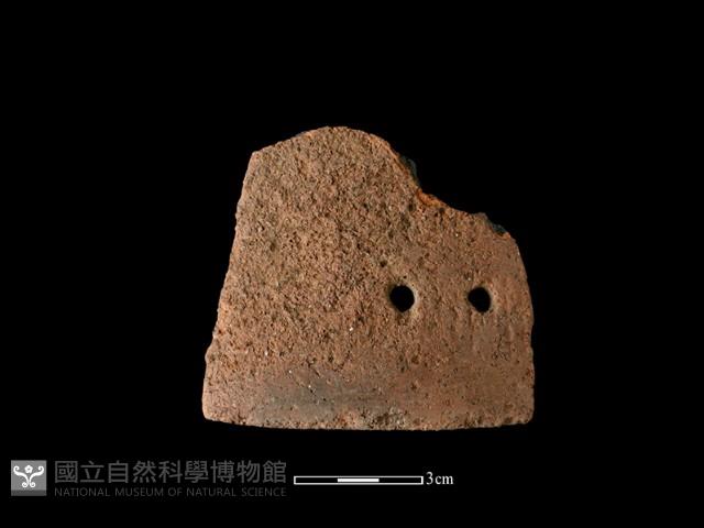 陶片藏品圖，第2張