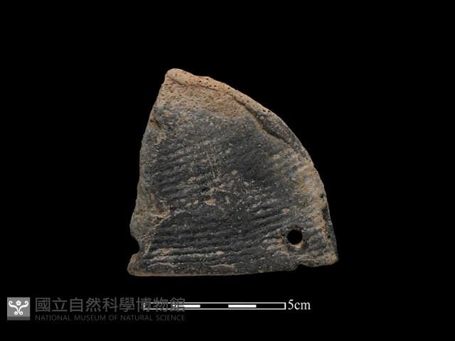 陶片藏品圖，第2張