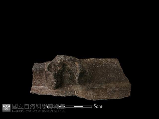 陶鍋藏品圖，第1張