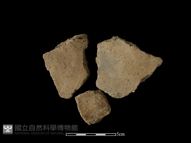 陶片藏品圖，第2張