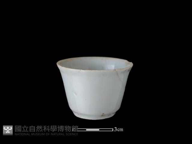 瓷杯藏品圖，第1張