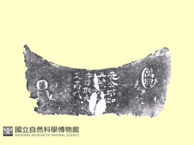 火爐藏品圖，第5張