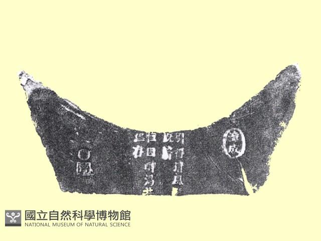 火爐藏品圖，第1張