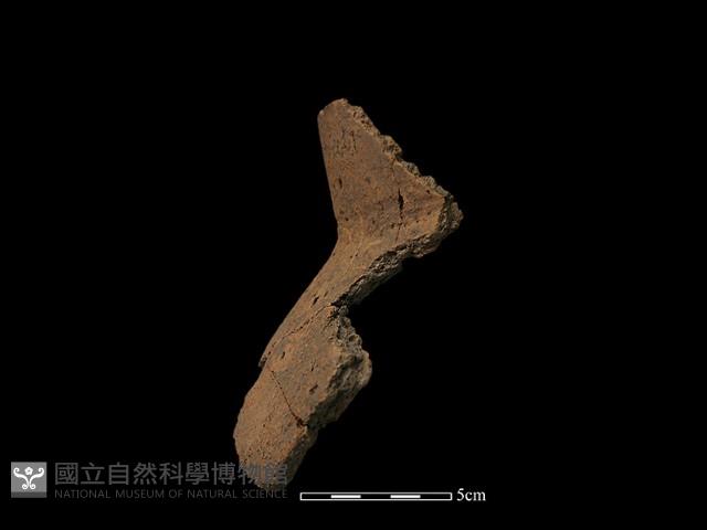 Accession Number:TP1-E23-350 Collection Image, Figure 1, Total 4 Figures