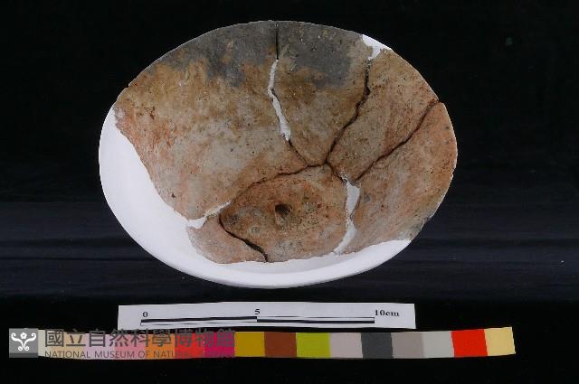 陶蓋藏品圖，第9張