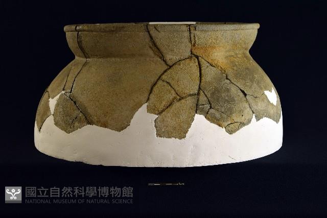 陶罐藏品圖，第9張