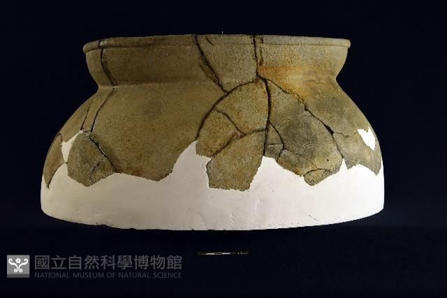 陶罐藏品圖，第8張