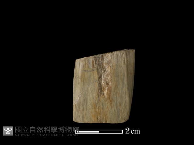 錛鑿形器藏品圖，第1張