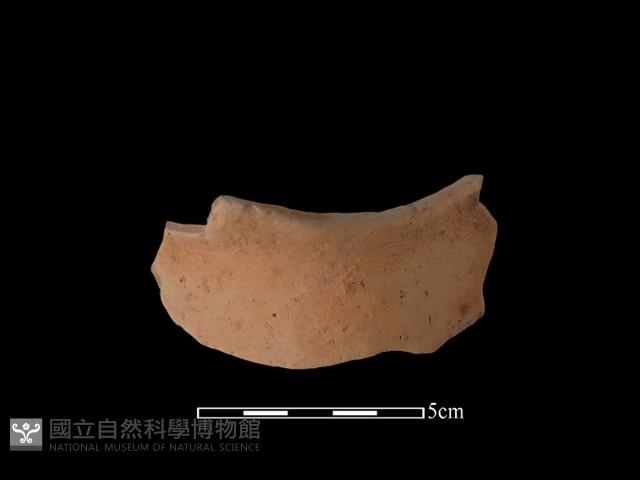 陶片藏品圖，第3張