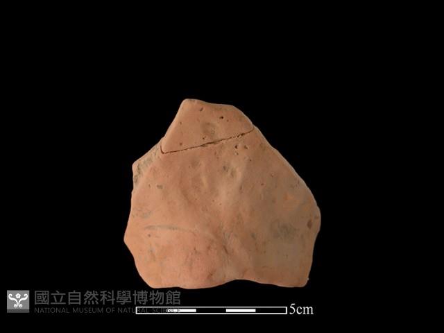 陶片藏品圖，第1張