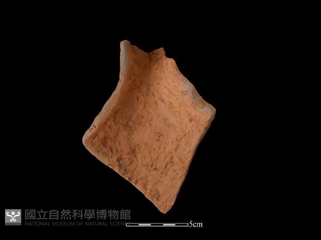 陶片藏品圖，第3張