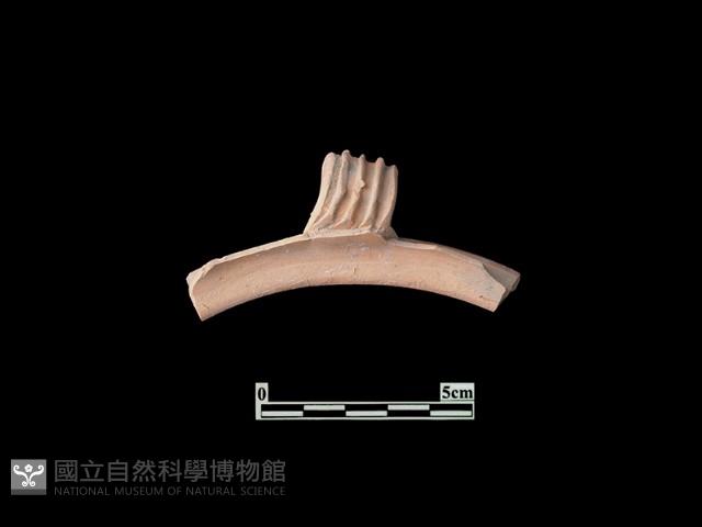 陶片藏品圖，第3張