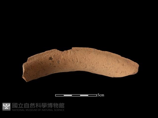 陶罐藏品圖，第3張