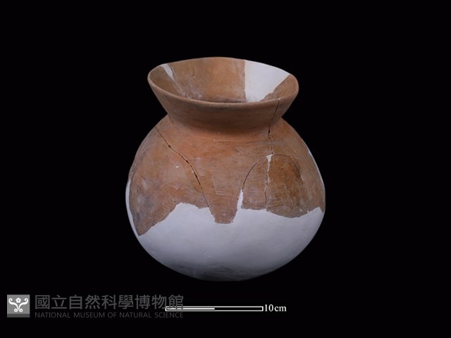 陶罐藏品圖，第3張