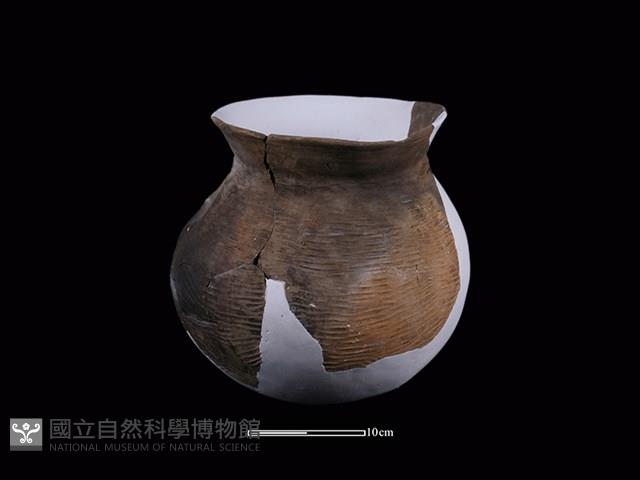 陶罐藏品圖，第3張