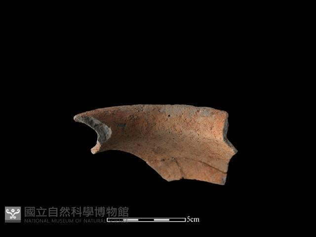 Accession Number:TC-2018-079 Collection Image, Figure 3, Total 3 Figures