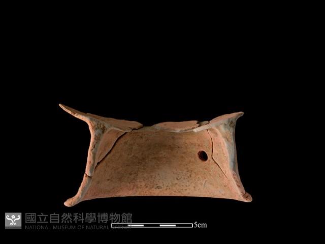 陶片藏品圖，第3張