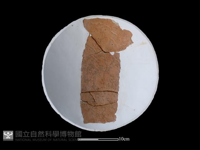 陶盤藏品圖，第3張