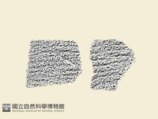 陶片藏品圖，第3張