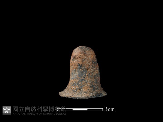 陶蓋鈕藏品圖，第3張