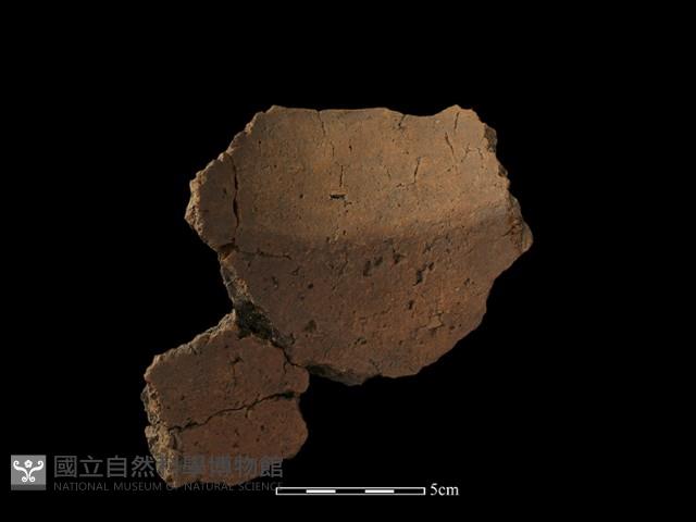 Accession Number:TP1-E23-350 Collection Image, Figure 4, Total 4 Figures