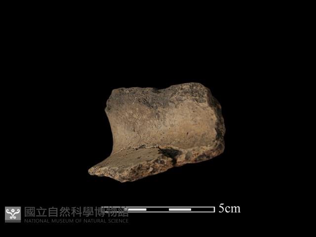 陶罐藏品圖，第3張