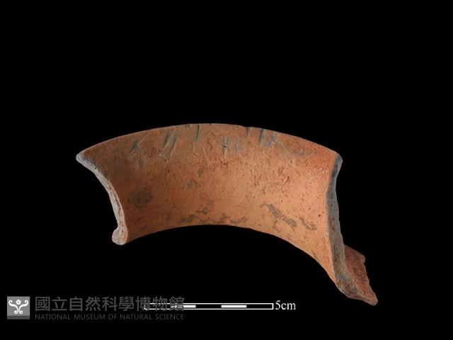 陶罐藏品圖，第3張