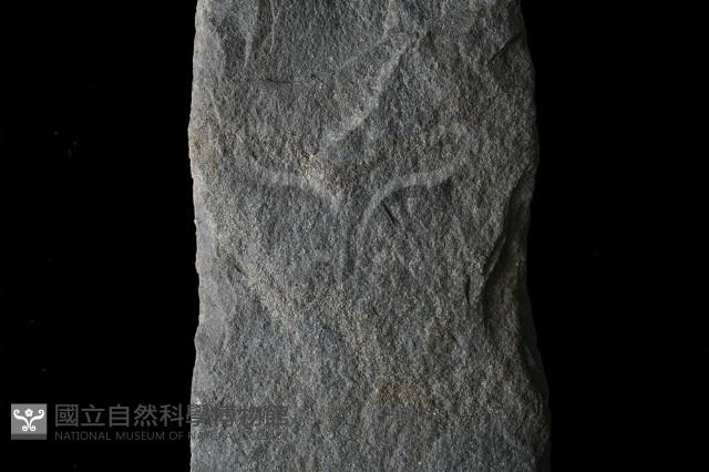 斧鋤形器藏品圖，第3張