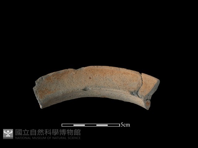 陶罐藏品圖，第3張