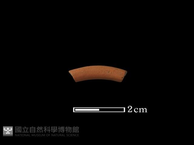 陶環藏品圖，第3張