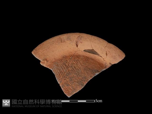 陶片藏品圖，第3張