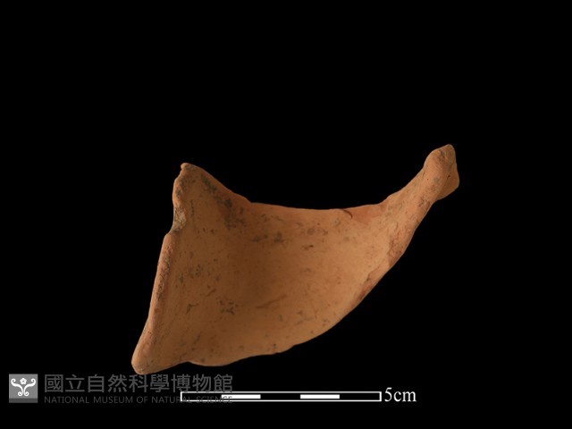 陶片藏品圖，第3張