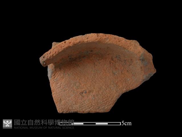 陶片藏品圖，第3張