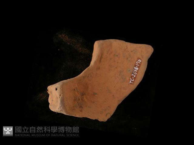 連杯形器藏品圖，第3張