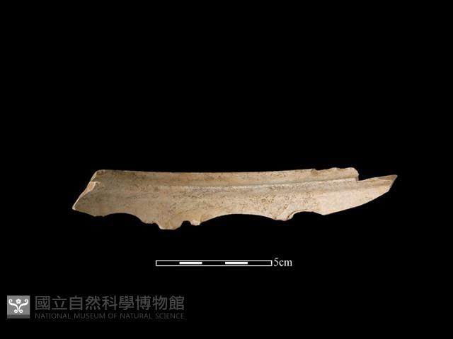 陶片藏品圖，第3張