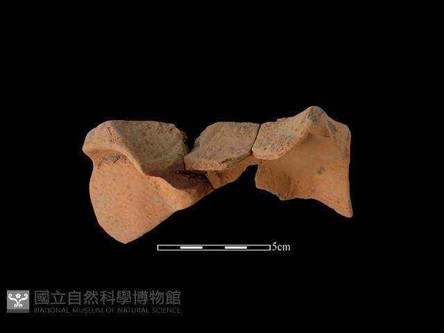 連杯形器藏品圖，第1張