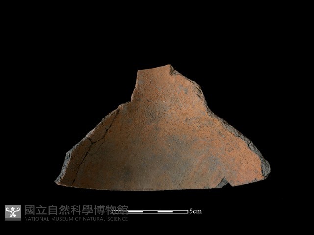 陶片藏品圖，第1張