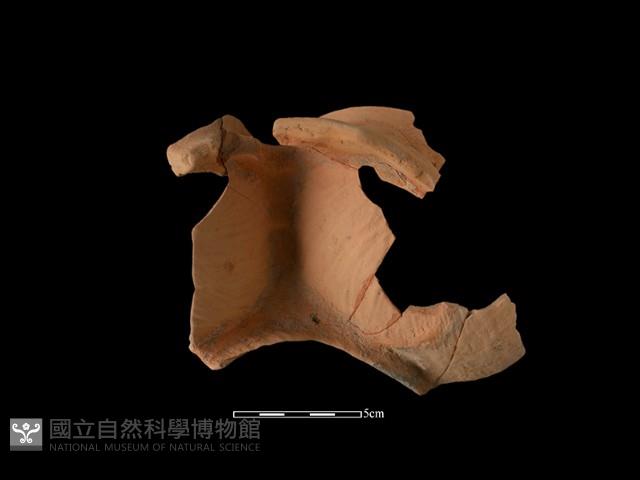 連杯形器藏品圖，第3張