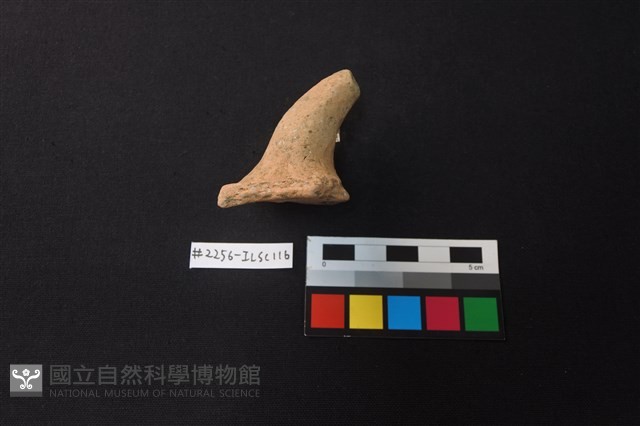 陶片藏品圖，第2張