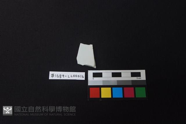 瓷片藏品圖，第2張