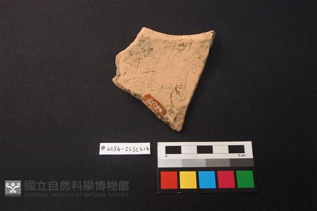 陶片藏品圖，第2張